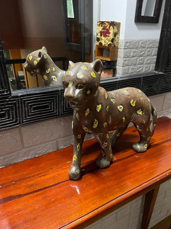 Villa Mango - image 6