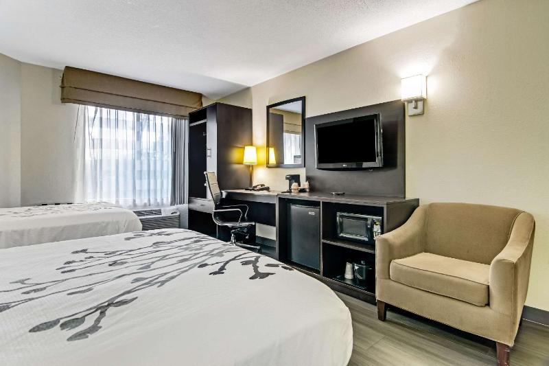 Standard Double Room with Two Double Beds - Non-Smoking image 4
