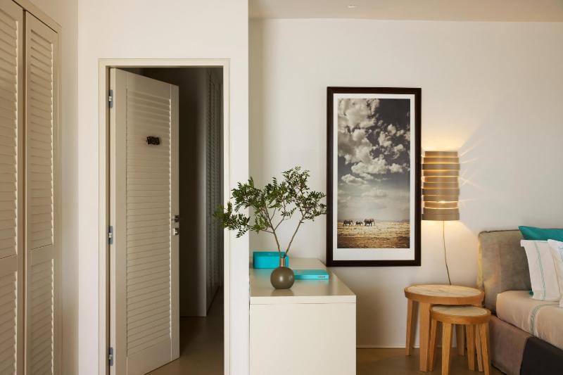 Superior Villa image 3