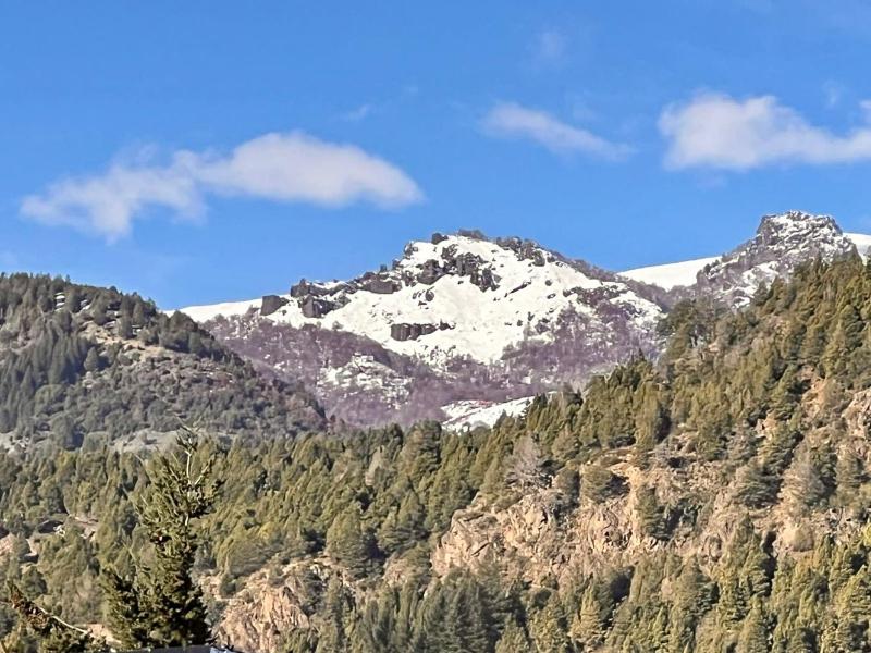 Aloha pinot Patagonia - image 17