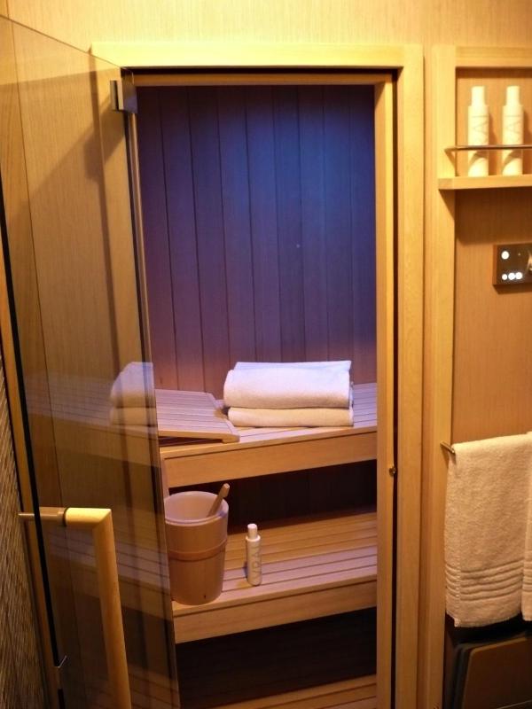 King Suite canal view sauna image 2