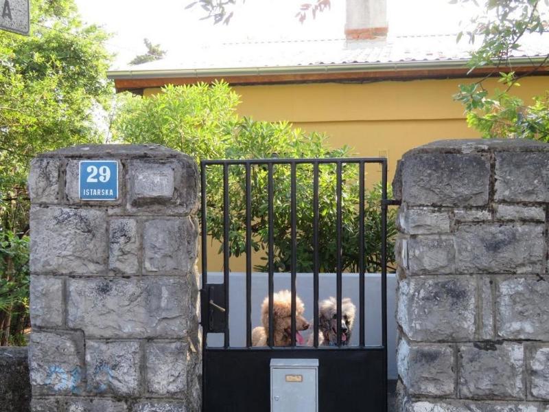 Apartments by the sea Rijeka - 22429 - image 15