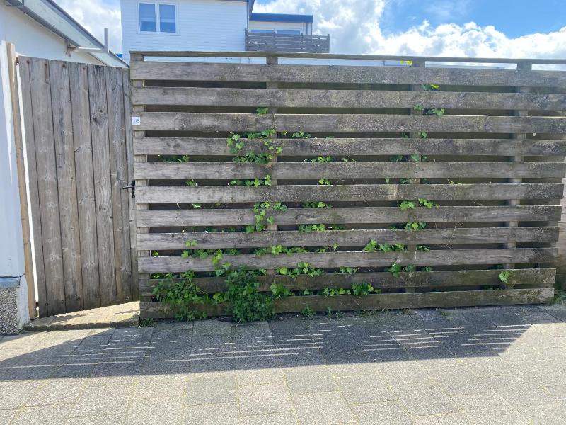 Zomerhuis aan Zee - image 9