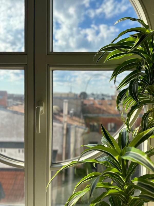 Old Town Apartment with Sauna - image 7