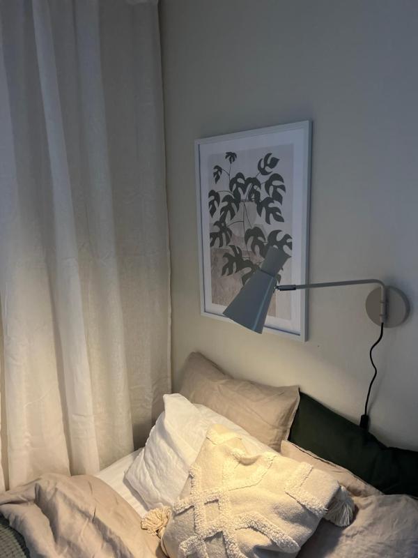 Family Room image 2