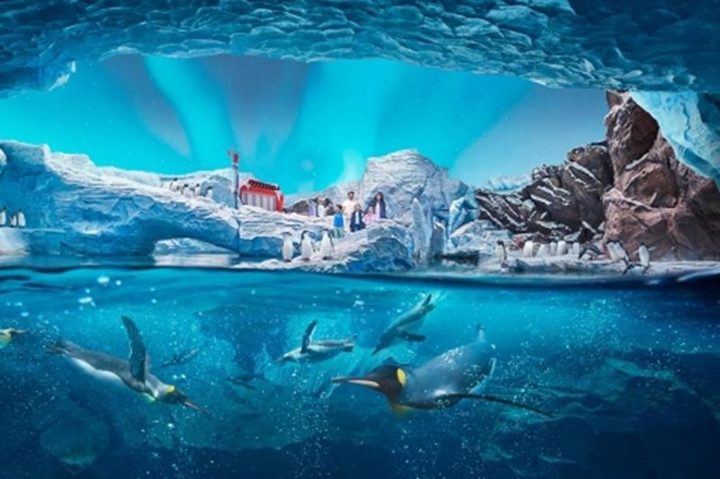 2 Nights Stay in a 02 Bed Room Apartment with 02 Days unlimited access to Yas Parks tickets for 2 Adults + 02 Children below 11 Years old image 3