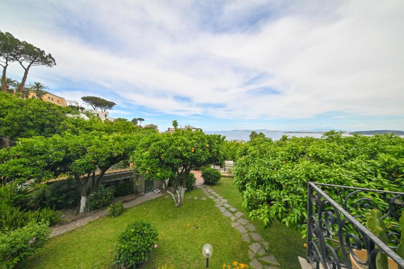 Il sogno di Chiara Ischia - image 12