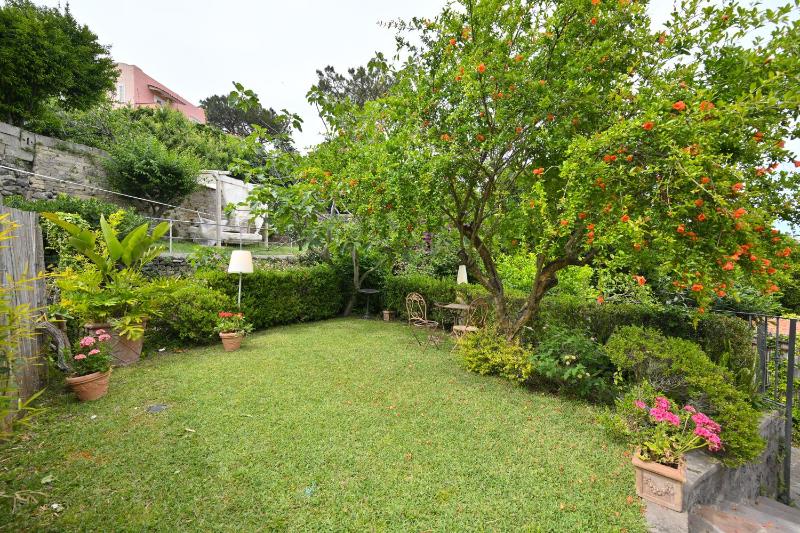Il sogno di Chiara Ischia - image 35