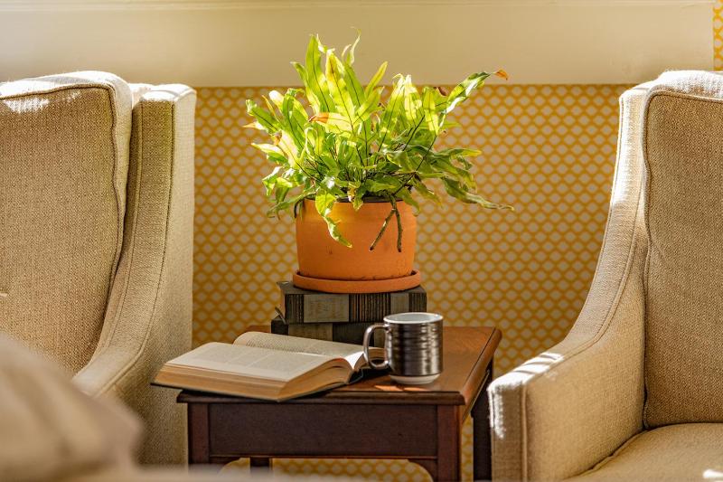 Deluxe Queen Room image 2