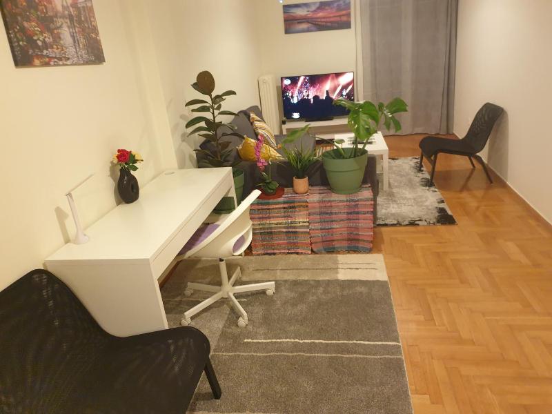 Lavender-Ryan spacious apartment for live and work in heart of Athens - image 5