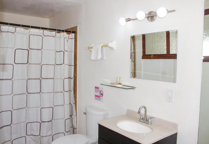 Hotel Allende - image 21