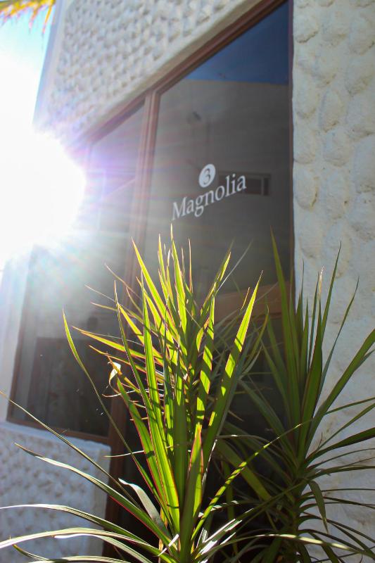 Hotel Allende - image 29