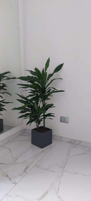 Apartment Marble - image 10