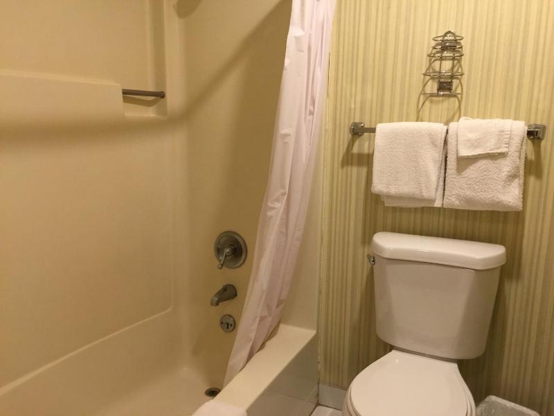 Deluxe Double Room image 1