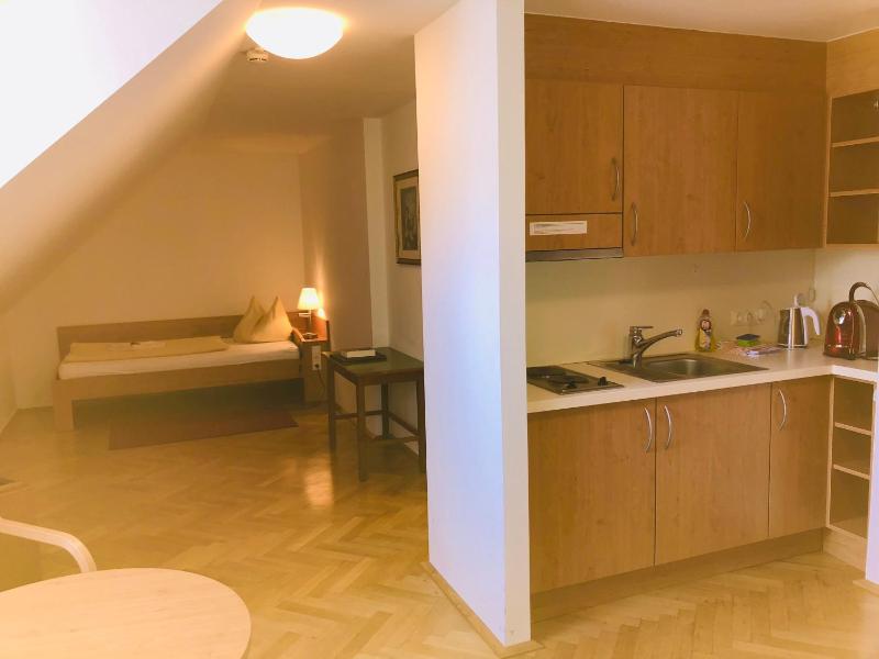 Superior Single Room image 1