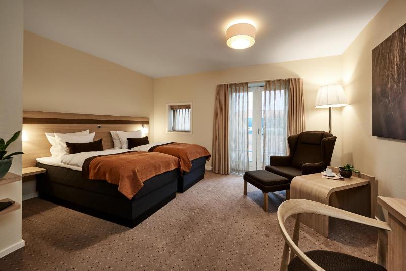 Standard Twin Room image 3