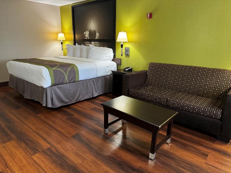 1 King Bed, Mobility/Hearing Access Room, Roll-In Shower, Pet-Friendly, Smoking image 4