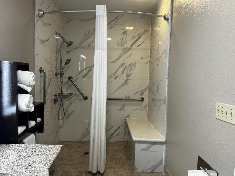 1 King Bed, Mobility/Hearing Access Room, Roll-In Shower, Pet-Friendly, Non-Smoking image 1
