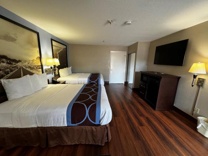 2 Queen Beds, Mobility/Hearing Access Room, Roll-In Shower, Pet-Friendly, Non-Smoking image 3