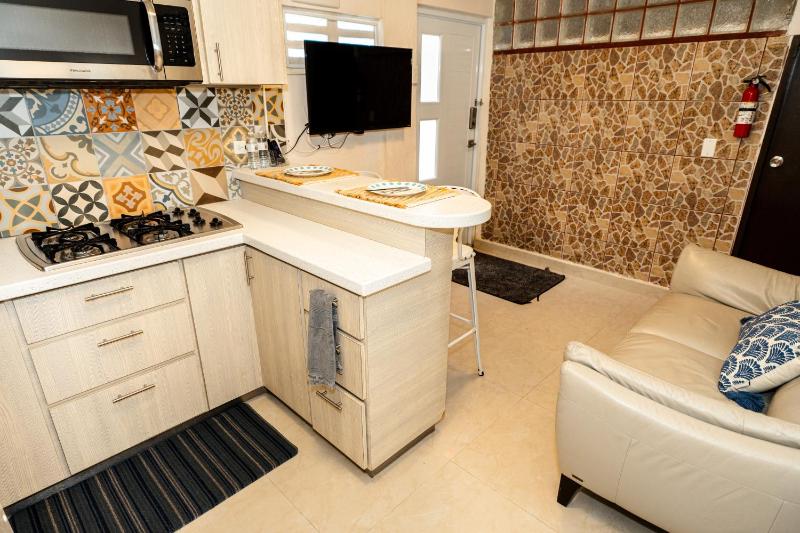 One-Bedroom Apartment image 4