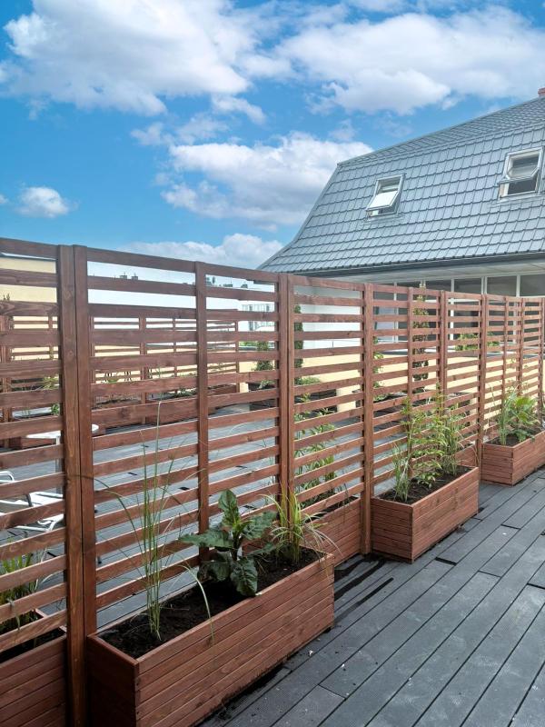 Studio with Terrace image 1
