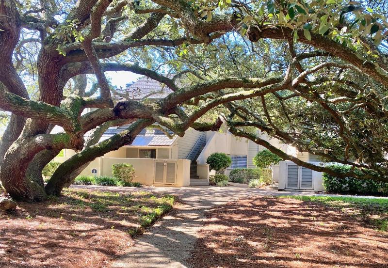8C Richmond Park lake view villa with full access to amenities villa - image 41