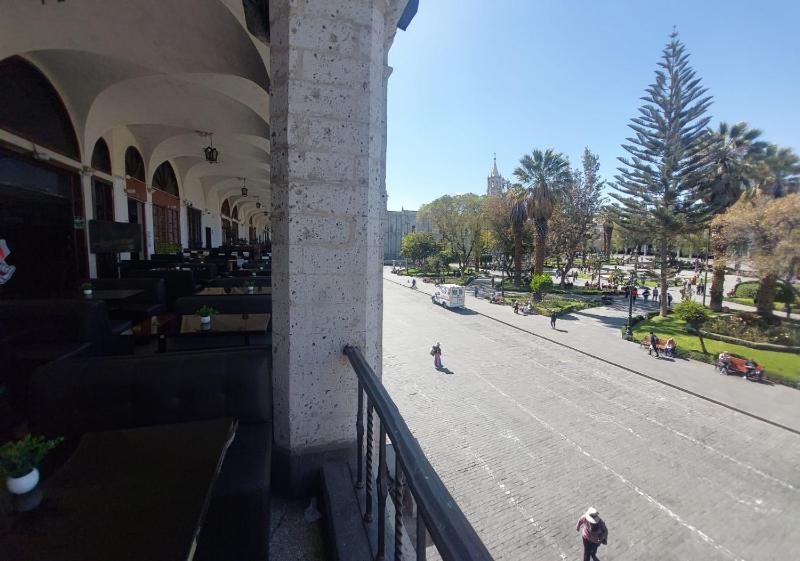 Maison plaza - image 15