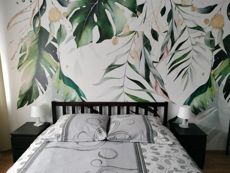 Comfort Double Room with Shared Shower, Toilet and Shared Kitchen image 1