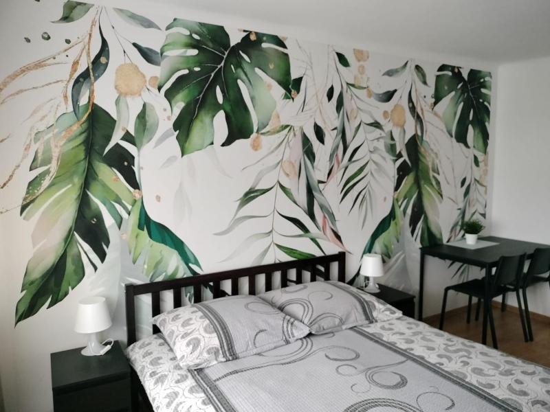 Comfort Double Room with Shared Shower, Toilet and Shared Kitchen image 4