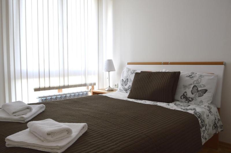 Economy One-Bedroom Apartment image 4