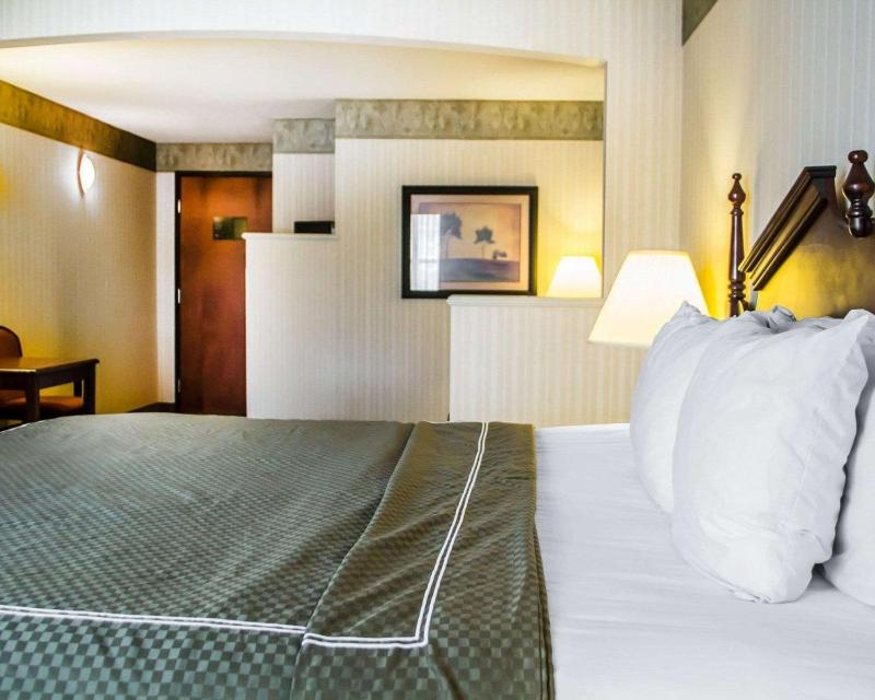 Deluxe King Suite - Non-Smoking image 3