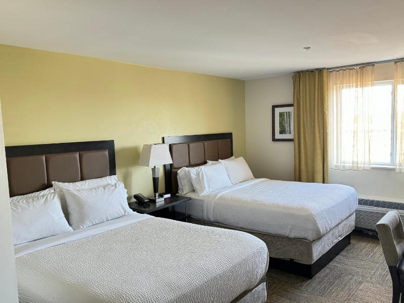 Studio Suite with Two Queen Beds image 3
