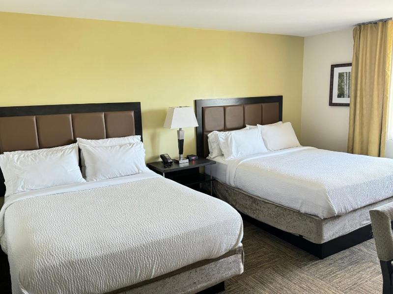 Studio Suite with Two Queen Beds image 2
