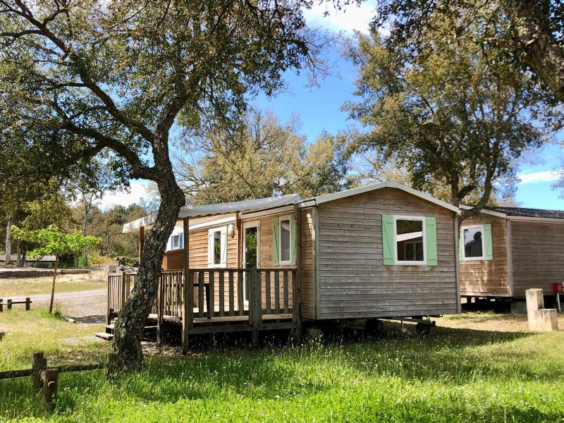 Two Bedroom Comfort Mobil-Home  image 1