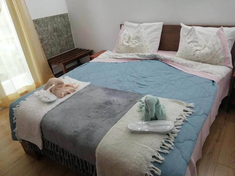 Studio with Terrace image 4