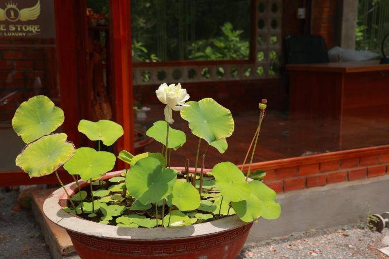 Homestay Nhà Của Gió - image 11