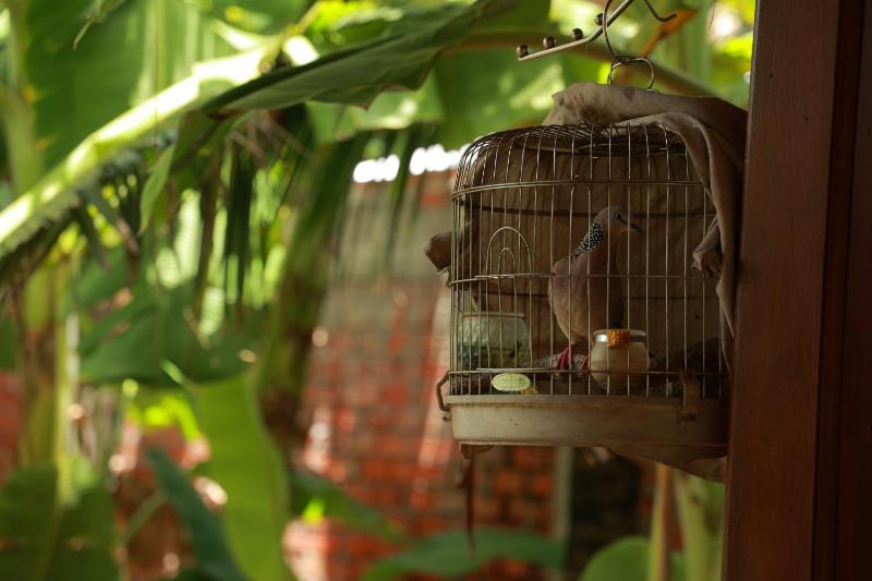 Homestay Nhà Của Gió - image 48