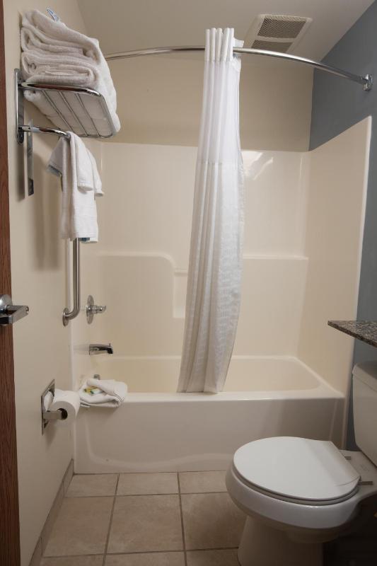 Queen Room with Bath Tub - Mobility Accessible/Non-Smoking image 3