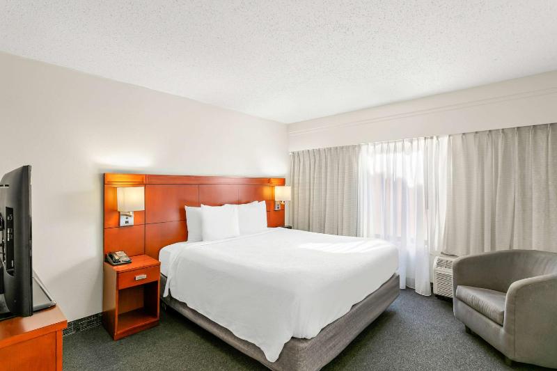 One-Bedroom King Suite image 4