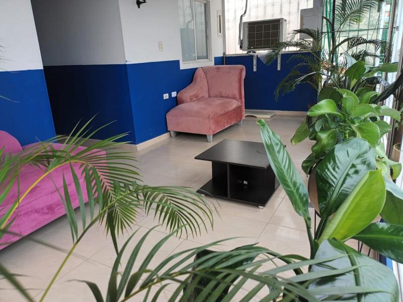 Casa Mango - image 10