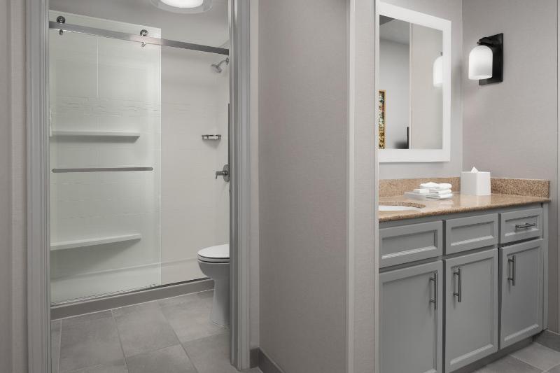 One-Bedroom King Suite image 2
