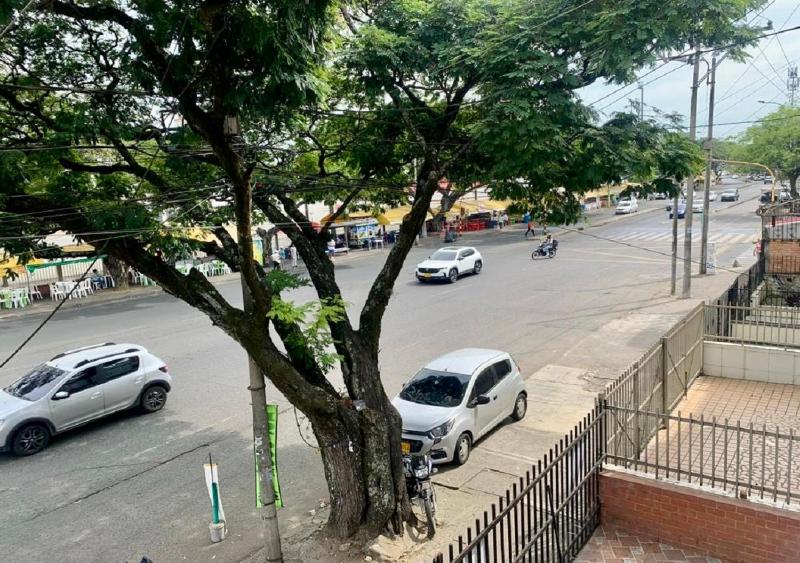 Casa Mango - image 8
