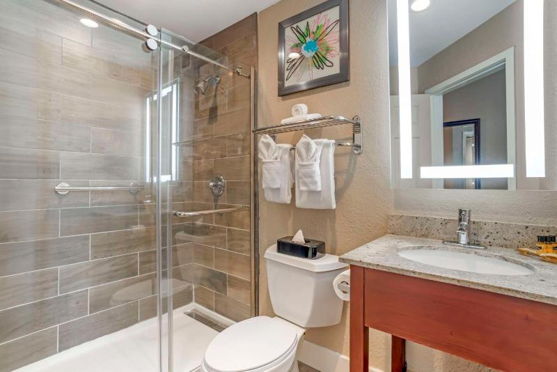 King Suite image 2