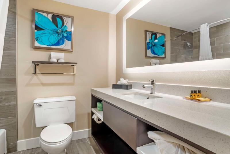 King Suite with Sofa Bed image 2