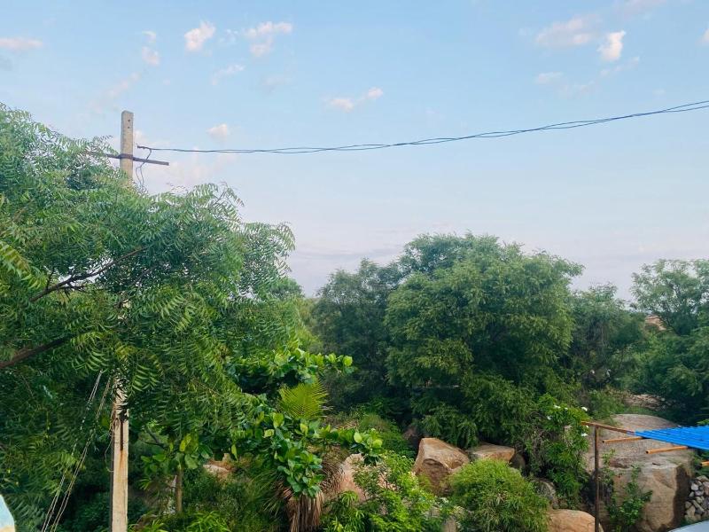 NeemTree Homestay NewHampi - image 7