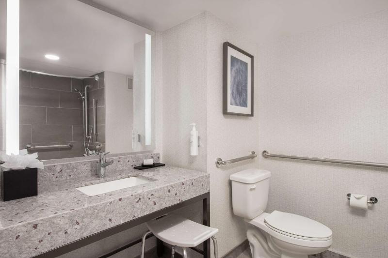 King Suite - Disability Access with Bath Tub  image 2