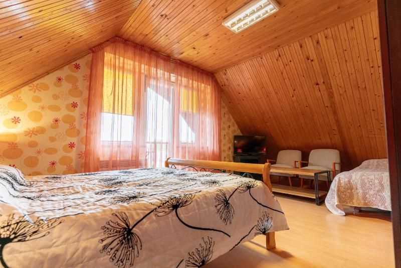 One-Bedroom Apartment - Penthouse  image 3