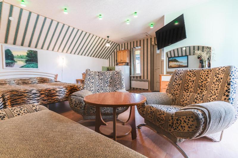 Studio with Terrace image 4