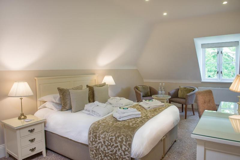 Deluxe Double Room image 1