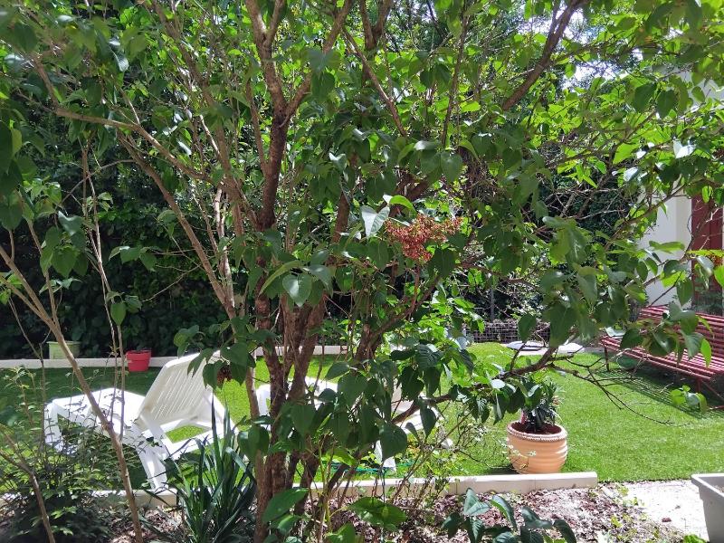 Family Room with Garden View image 4